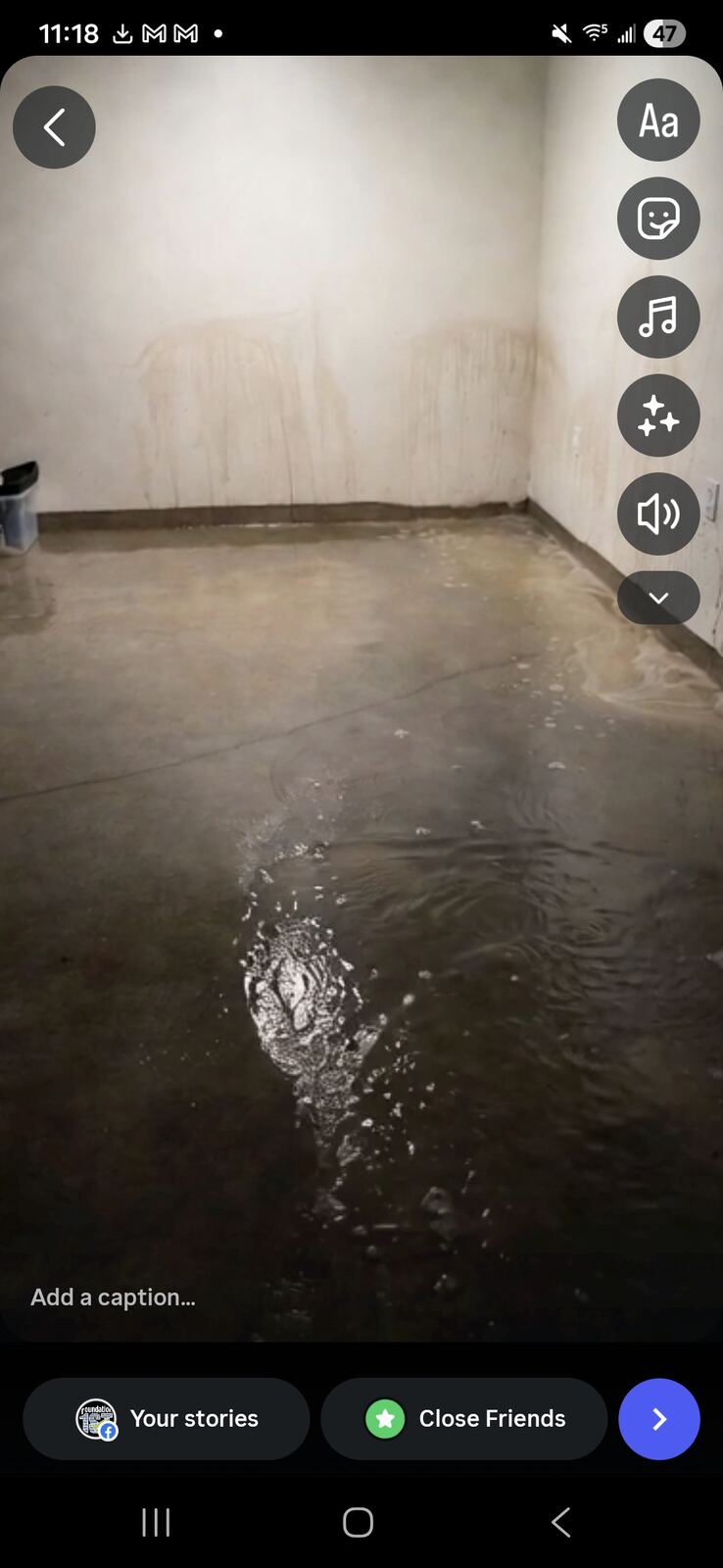 Basement water management and drainage
